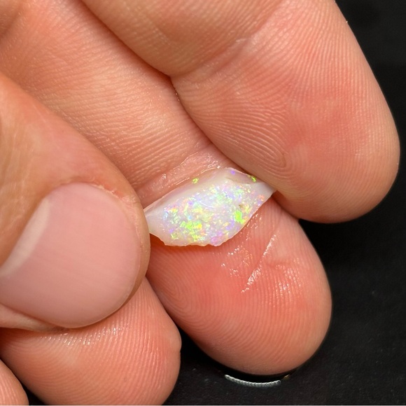 Smaller Top Grade Brazilian Horca Cutters & Chips for Jewelry/Inlays/Mosaics - Picture 5 of 14